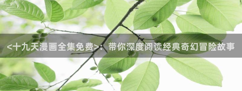 健身教练汗汗漫画入口：<十九天漫画全集免费>：带你深度阅读经典奇幻冒险故事