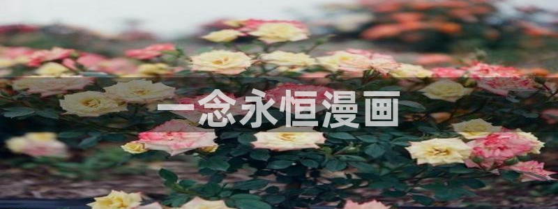 汗汗漫画网站在线观看：一念永恒漫画