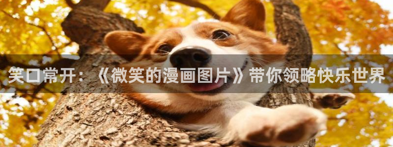 汗汗漫画首页免费：笑口常开：《微笑的漫画图片》带你领略快乐世界