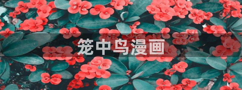 汗汗漫画手机：笼中鸟漫画