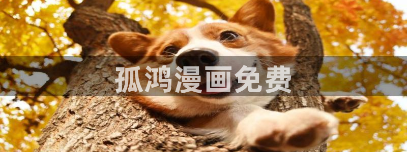 汗汗漫画免费无遮掩免费：孤鸿漫画免费