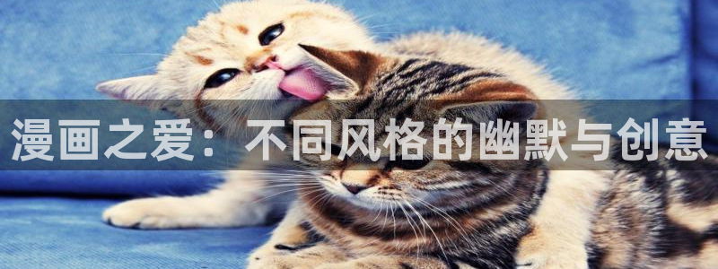汗汗漫画免费首页：漫画之爱：不同风格的幽默与创意