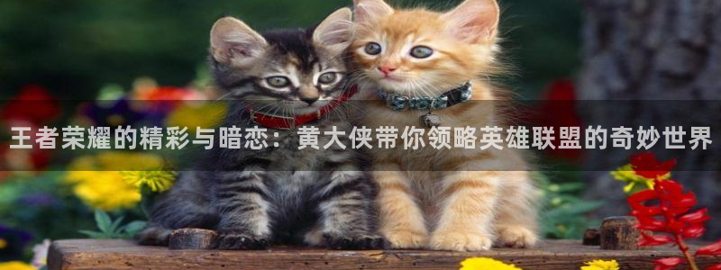 日本汗汗漫画：王者荣耀的精彩与暗恋：黄大侠带你领略英雄联盟的奇妙世界