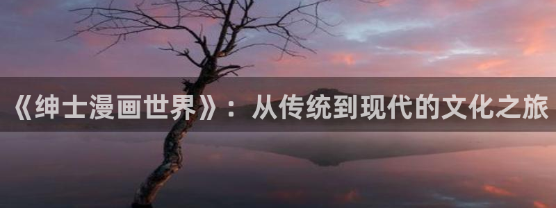 汗汗漫画免费漫画入口页面弹窗：《绅士漫画世界》：从传统到现代的文化之旅