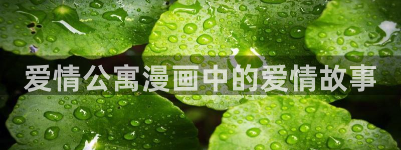 汗汗漫画在线登录：爱情公寓漫画中的爱情故事