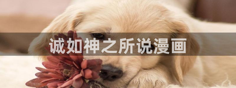 汗汗漫画登陆：诚如神之所说漫画